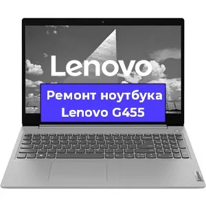 Чистка от пыли и замена термопасты на ноутбуке Lenovo G455 в Санкт-Петербурге